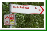Halde Rheinelbe, Gelsenkirchen